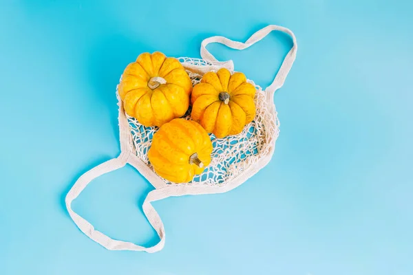 vegetable fall food concept.Various of pumpkins in a mesh bag of fabric on a blue background.Autumn vegetables.Composition of different varieties of pumpkins.Happy Thanksgiving.Halloween Pumpkins.