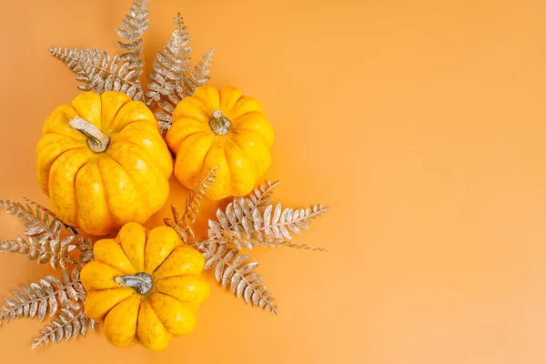 Halloween Pumpkins.Border Design.Different pumpkin varieties.Orange background.Space for text and copy space. Autumn postcard. Minimalist style.Autumn season, fall harvest, Happy Thanksgiving.