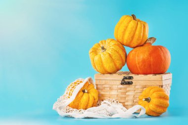 Sonbahar sebzeleri. Minimalist stil. Farklı kabak çeşitleri. Mavi arka planda sepetin içinde çeşitli balkabakları. Mavi arka planda balkabakları. Sebze Gıda Konsepti.