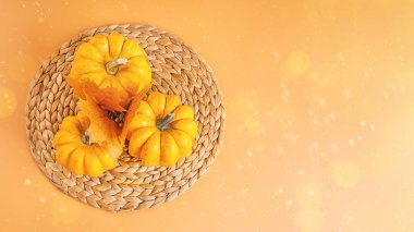 Farklı balkabağı çeşitleri. Sonbahar kartpostalı. Cadılar Bayramı Balkabağı. Sınır Tanımı. Yazı ve kopyalama alanı için turuncu arka plan. Minimalist stil. Sonbahar sezonu, sonbahar hasatı, Şükran Günün kutlu olsun..