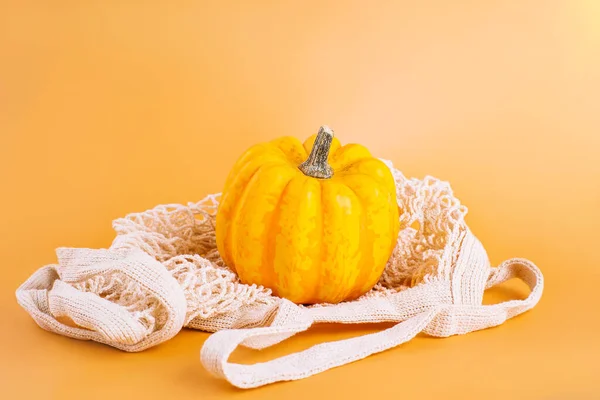 Composition Different Varieties Pumpkins Happy Thanksgiving Vegetable Fall Food Concept — Stock Photo, Image