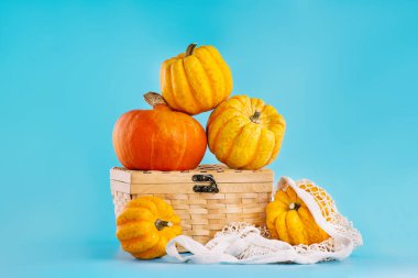 Mavi arka planda balkabakları. Sebze Gıda Konsepti. Minimalist Sebzeler. Farklı kabak türlerinin kompozisyonu..