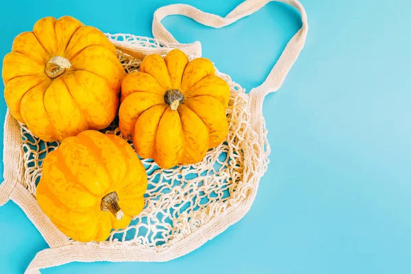 vegetable fall food concept.Various of pumpkins in a mesh bag of fabric on a blue background.Autumn vegetables.Composition of different varieties of pumpkins.Happy Thanksgiving.Halloween Pumpkins.