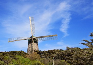 Nederlandse molen in san francisco