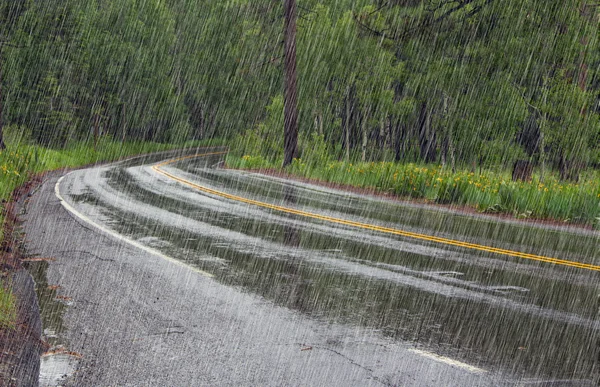 Straße im Wald bei Regen — Stockfoto