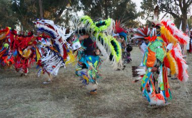 yerli Amerikalılar Festivali