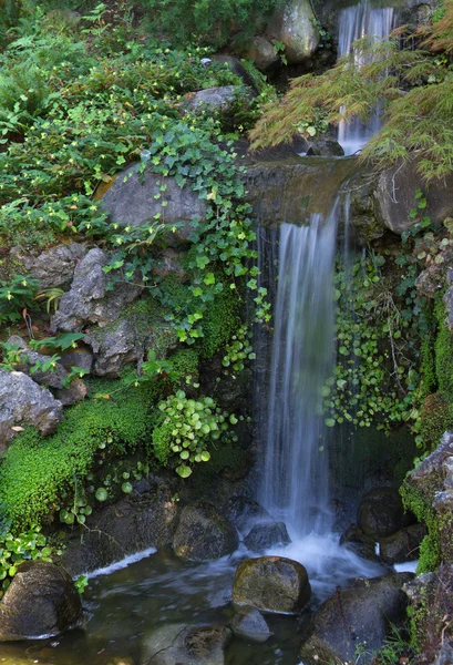 Pequena cachoeira — Fotografia de Stock