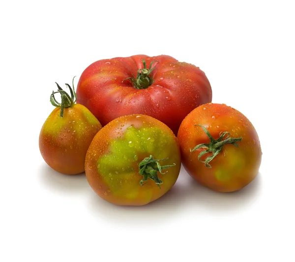 Primer plano de los tomates de reliquia sobre fondo blanco —  Fotos de Stock