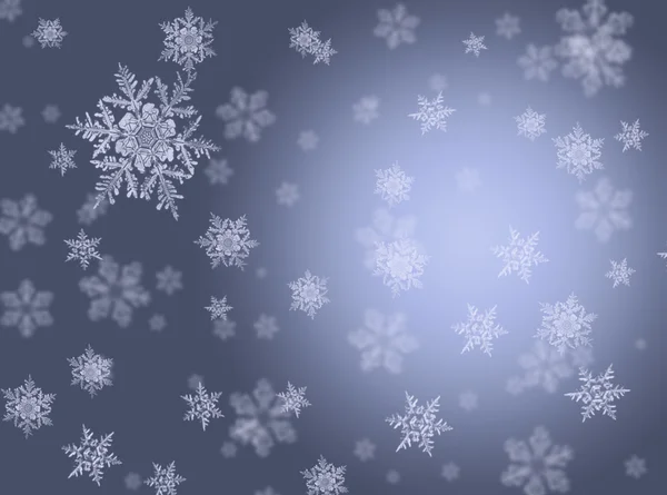 Silver backgroung with snowflakes — Stock Photo, Image