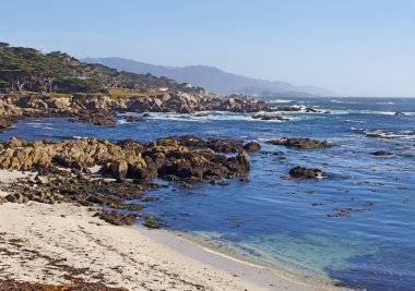 Pasifik Sahili. Kaliforniya.