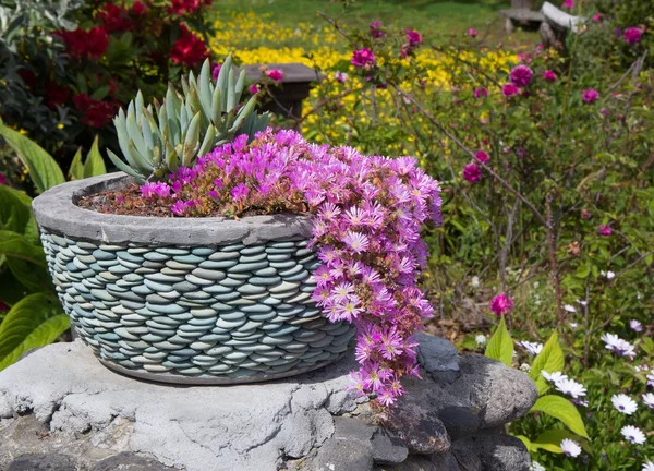 Jardín de verano — Foto de Stock