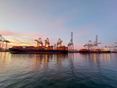 Rotterdam limanında gün batımında Maasvlakte konteyner terminalinde vinçler