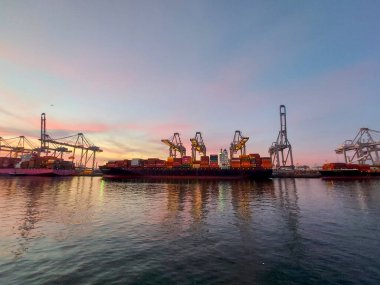 Rotterdam limanında gün batımında Maasvlakte konteyner terminalinde vinçler