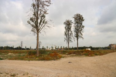 Yeni yerleşim bölgelerinin doğacağı tarlalarda kum ve bataklık kumu.