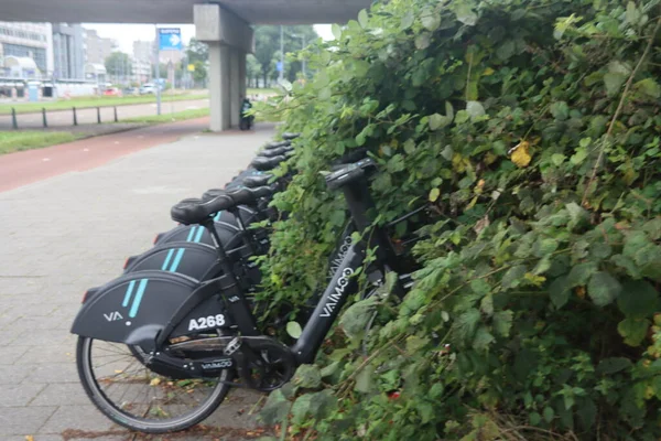 Aluguer Bicicletas Uma Fileira Estação Metrô Trem Alexander Roterdão Nos — Fotografia de Stock