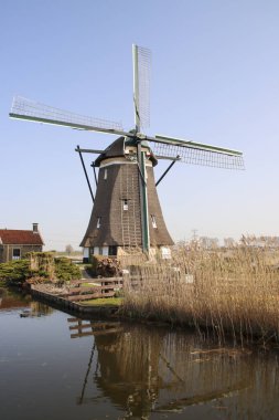 Yel değirmeni, Hollanda 'da Zevenhuizen' de Molenviergang adlı Tweemanspolder 'ın kuru pompası olarak çalışıyor.