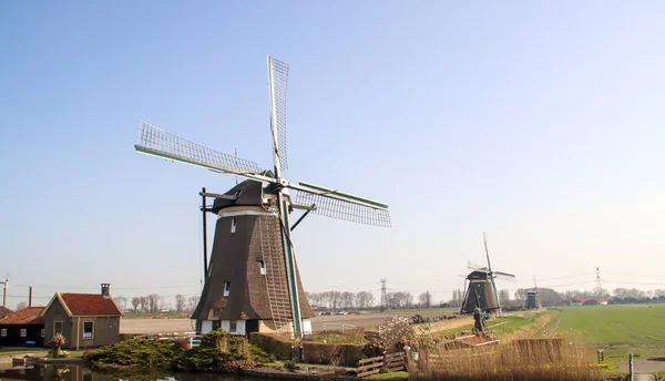 Windmolen Als Werkend Droogpompen Van Tweemanspolder Systeem Molenviergang Zevenhuizen — Stockfoto