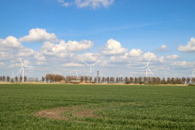 Hollanda 'da N219 ve Zuidplaspolder yolu üzerindeki kara kümülüs bulutları