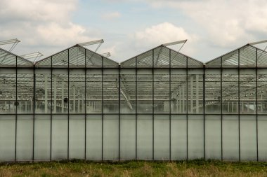 Zuidplas 'taki Eendragtspolder polder alanı (Zevenhuizen)