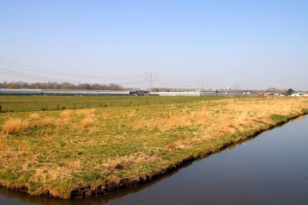 Meadows Watering Canals Alexanderpolder Nieuwerkerk Aan Den Ijssel Netherlands — стоковое фото