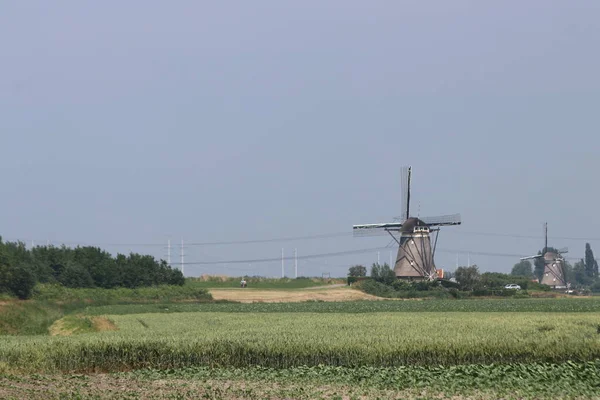 Tweemanspolder的风车干式抽水系统 荷兰Zevenhuizen的Molenviergang — 图库照片