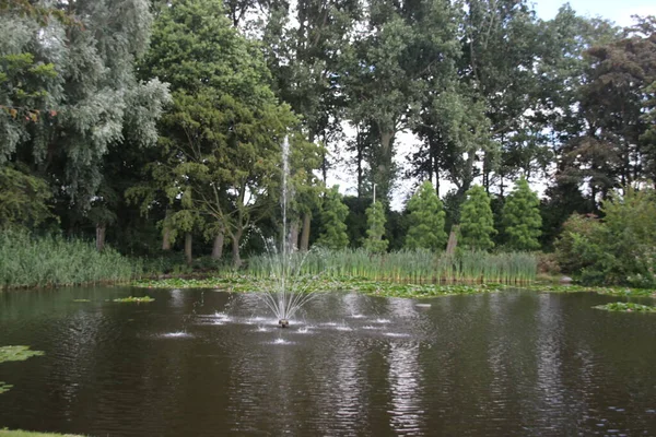 Fonte Uma Piscina Vijverzicht Nieuwerkerk Aan Den Ijssel Nos Países — Fotografia de Stock