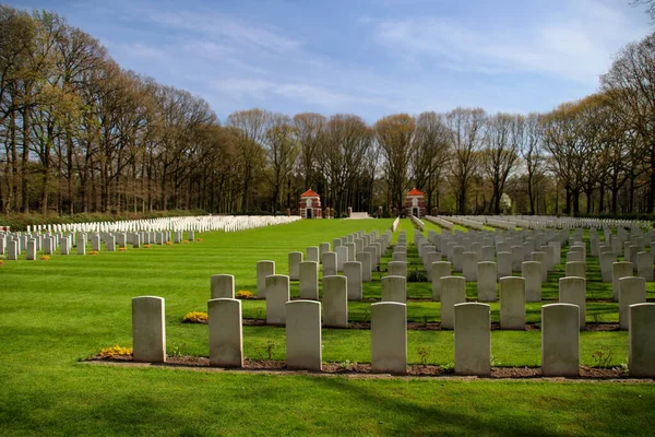 Cementerio Guerra Oosterbeek Para Las Fuerzas Aliadas Guerra Mundial Batalla — Foto de Stock