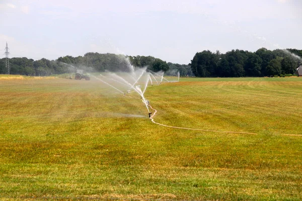 Landbouwers Nederland Spuiten Droge Zomer Water Weiden Terwijl Overheid Dit Stockfoto