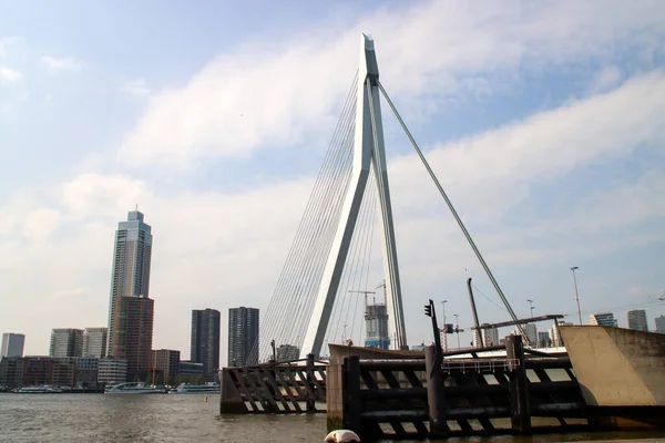 Most Erasmusbrug Przez Rzekę Nieuwe Maas Centrum Rotterdamu Holandii — Zdjęcie stockowe