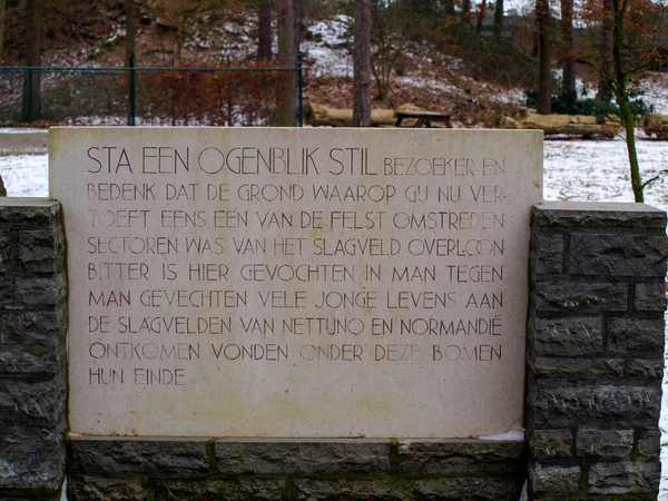 Ysselsteyn Cementerio Guerra Alemán Los Países Bajos Aquí También Hay — Foto de Stock