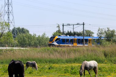 SNG sprinter local commuter train along the rail bridge at Kethel in schiedam in the Netherlands
