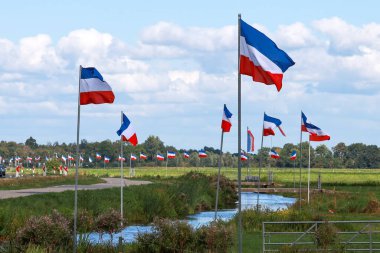 Çiftçilerin 2022 yılında Hollanda 'nın Lekkerkerk kentindeki azot yeminli ifadesine yönelik hükümet tedbirlerini protesto ederken bayrak ters çevrildi