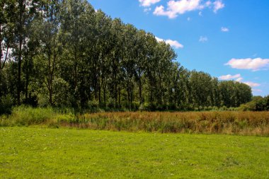 Hollanda 'daki Nieuwerkerk aan den IJssel Park Hitland Halk Doğa Bahçesi