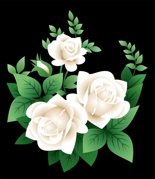 Vector illustration of white roses — Vetor de Stock