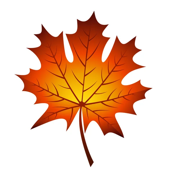Ilustracja wektorowa jesień liść klonu — Wektor stockowy