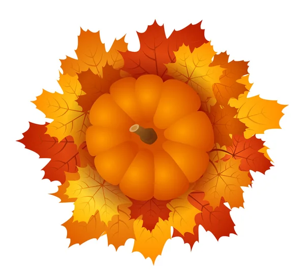 Hojas de calabaza y arce de otoño. EPS 10 ilustración vectorial . — Vector de stock