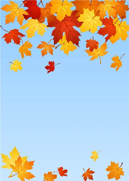 Hojas de arce de otoño. Ilustración vectorial . — Vector de stock