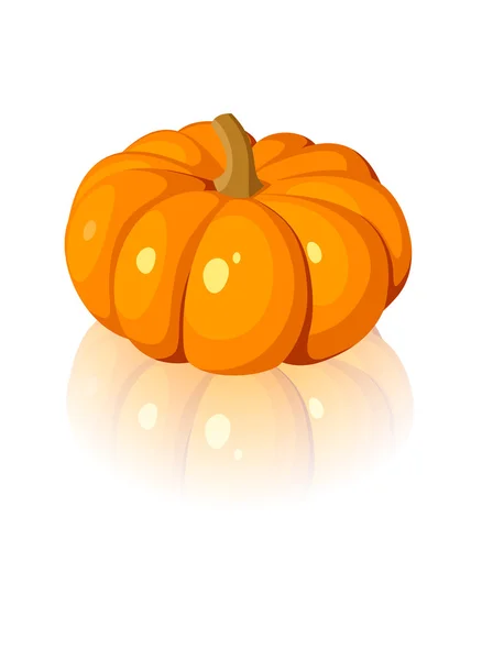 Orange pumpkin. Vector illustration. — Stock Vector