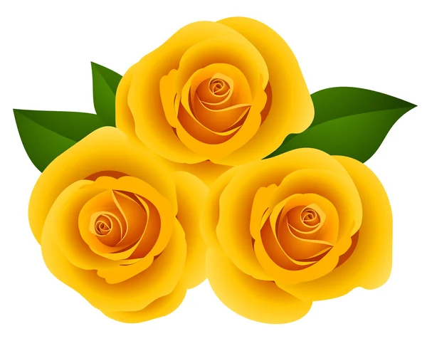 Three yellow roses. Vector illustration. — Stock Vector