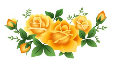 Üç Sarı gül. vektör çizim.