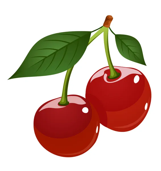 Ilustración vectorial de cerezas — Vector de stock