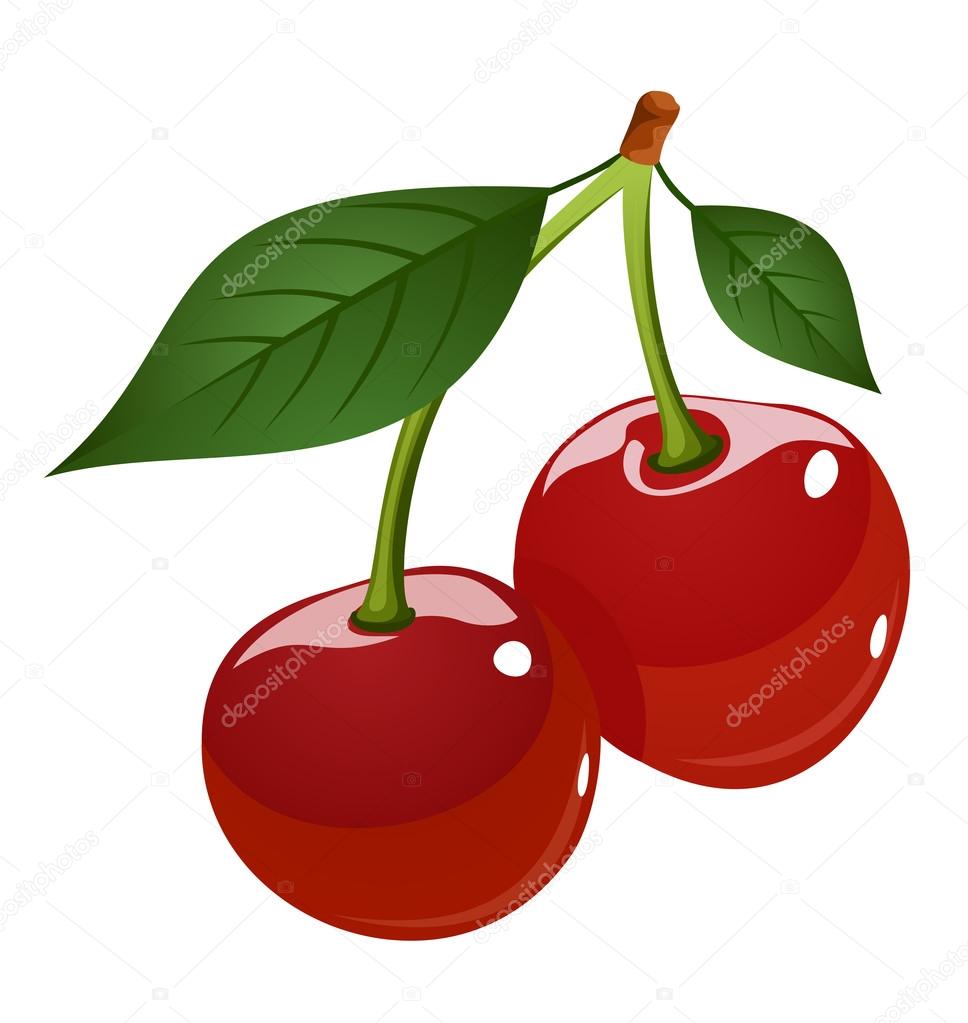 Vector illustration of cherries