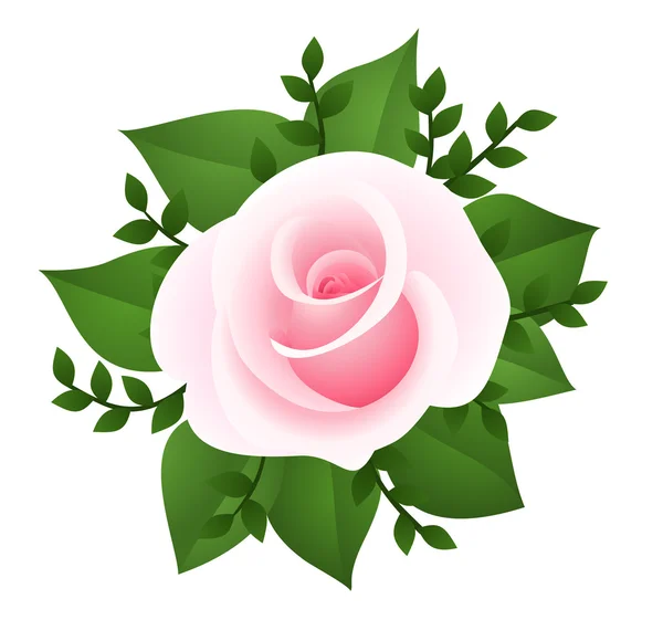 Pink rose. Vector illustration. — Stock Vector