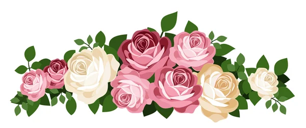 Roze en witte rozen. vectorillustratie. — Stockvector