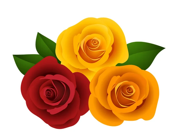 Red, orange and yellow roses. Vector illustration. — Stockvector