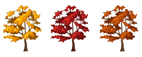 Set di tre alberi autunnali. Illustrazione vettoriale . — Vettoriale Stock