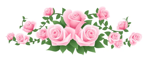 Ilustração vetorial de rosas rosa . — Vetor de Stock