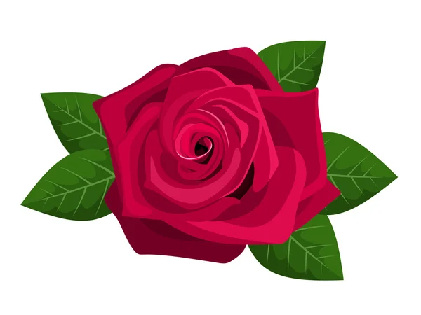 Czerwona róża wyizolowana na białym tle. Ilustracja wektorowa. — Wektor stockowy
