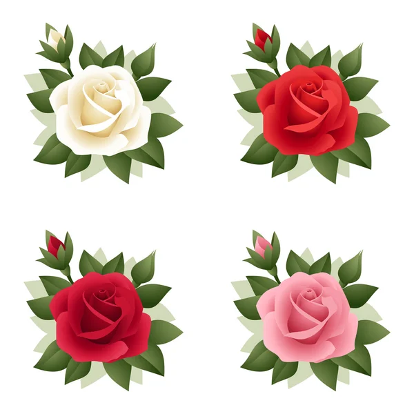 Conjunto de cuatro rosas de varios colores. Ilustración vectorial . — Vector de stock