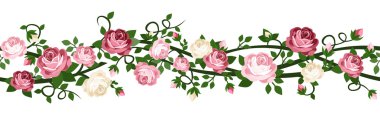 vektör yatay sorunsuz geçmiş ile pembe ve beyaz güller.